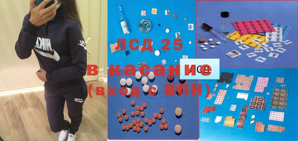 крисы Алексин